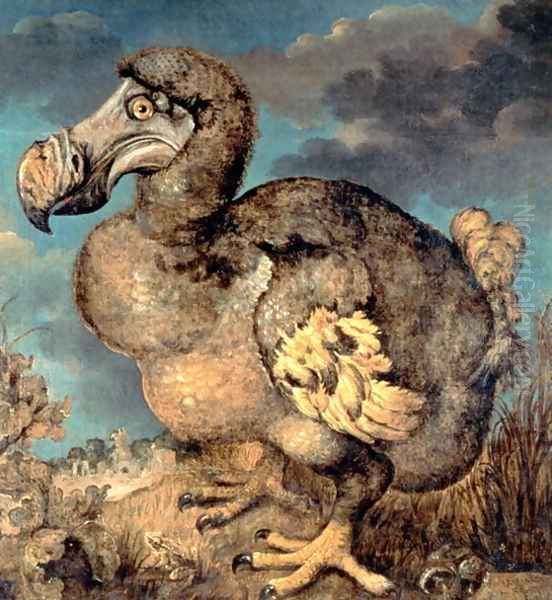 The Dodo, 1651 Oil Painting by Hans I Savery