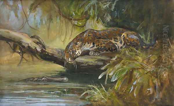 Jaguar observing a Caiman Oil Painting by Cuthbert Edmund Swan