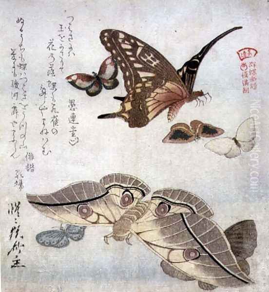 Tsubasa ni wa... first line of poem from the series Illustrated Collection of Butterflies, c.1804-18 Oil Painting by Kubo Shunman