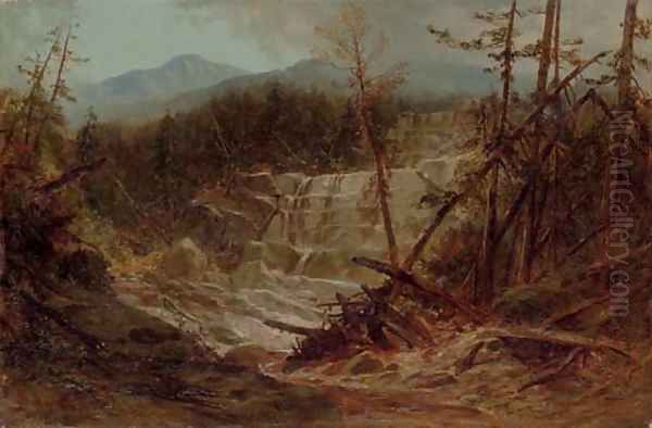 Stream in the Adirondacks Oil Painting by James David Smillie