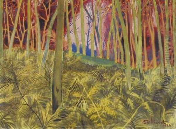 Sous-bois Aux Fougeres Oil Painting by Leon Spilliaert