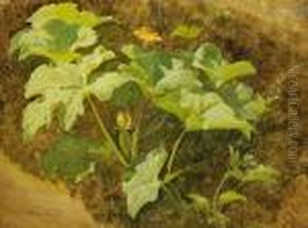 Blossoming Pumpkin Oil Painting by Carl Spitzweg