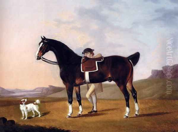 A Gentleman With A Bay Hunter And Spaniel In A Coastal Landscape Oil Painting by Francis Stringer