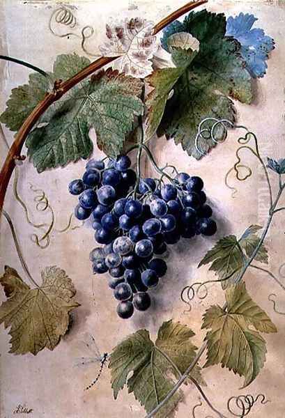 Black Grapes Oil Painting by James Sillett