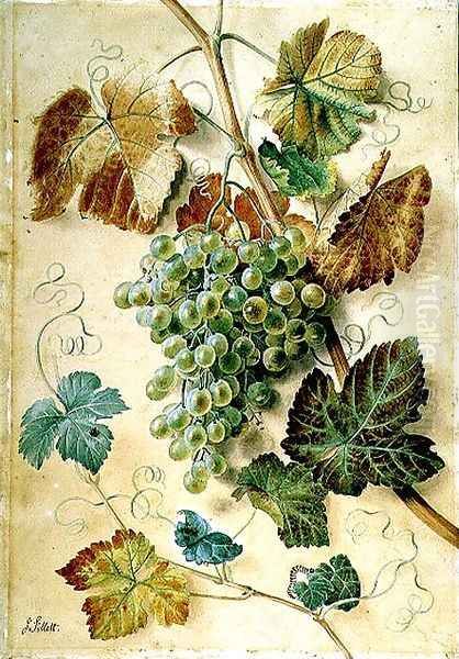 White Grapes Oil Painting by James Sillett