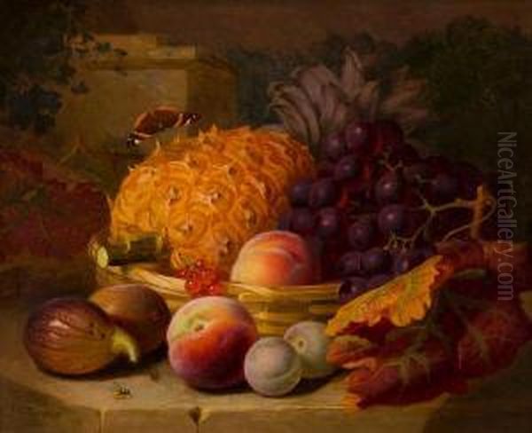 Still Life With Basket Of Fruit Andinsects Oil Painting by Eloise Harriet Stannard