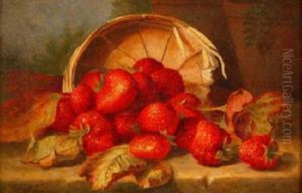 Still Life Study Of Strawberries By A Basket On A Stone Ledge Oil Painting by Eloise Harriet Stannard