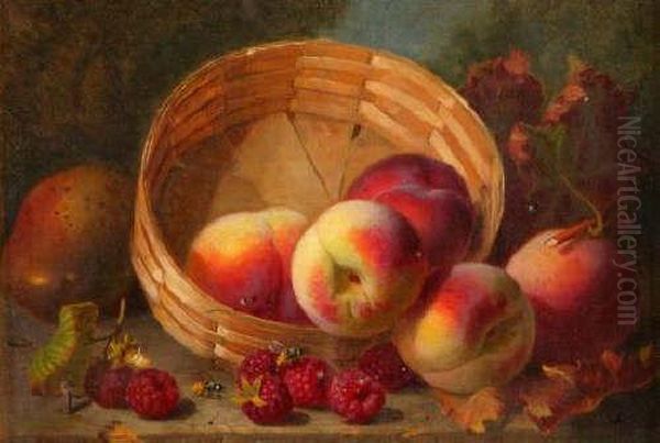 Still Lifestudy Of Peaches And Raspberries By As Basket, On A Wooden Ledgewith Two Wasps Oil Painting by Eloise Harriet Stannard