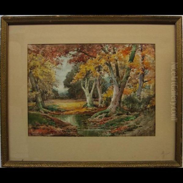 Autumn With Beechwood - Hertfordshire Oil Painting by Henry John Sylvester Stannard