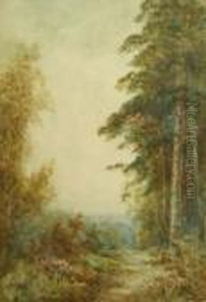 A Woodland Glade Oil Painting by Henry John Sylvester Stannard