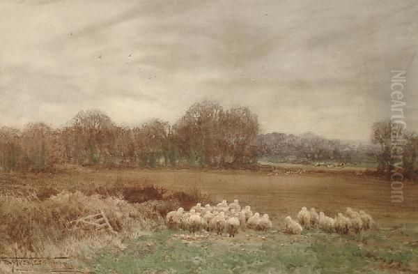 The Hunt In Full Cry With Sheep Watching Oil Painting by Henry John Sylvester Stannard