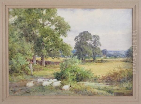 Sheep By A Stream In A Rurallandscape Oil Painting by Henry John Sylvester Stannard