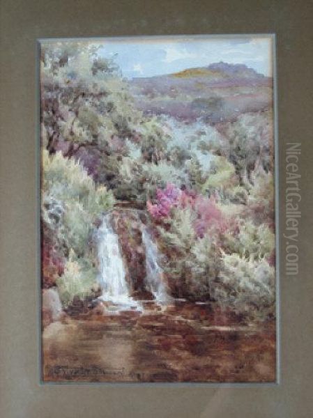 A Dartmoor Stream Oil Painting by Henry John Sylvester Stannard