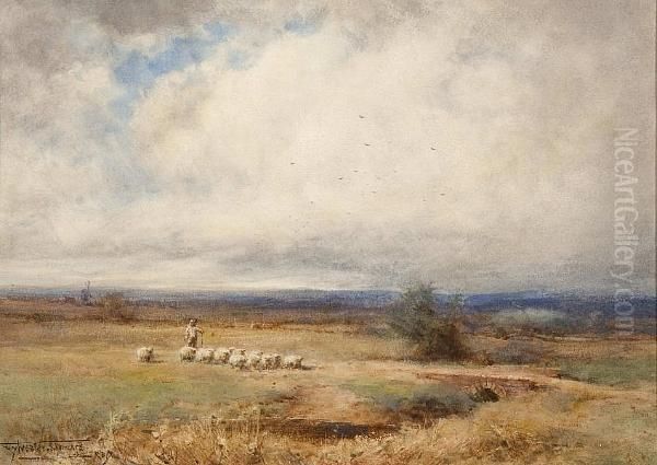 On The Moors - Near Flitwick, Ampthill, Bedfordshire Oil Painting by Henry John Sylvester Stannard