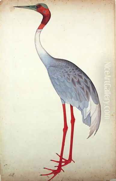 Sarus Crane, painted for Lady Impey at Calcutta, c.1780 Oil Painting by Zain ud-Din Shaikh