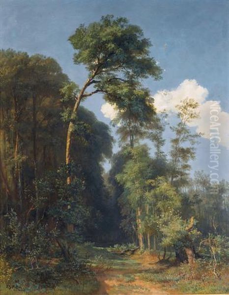 Sommerlicher Waldweg Oil Painting by Johann Gottfried Steffan