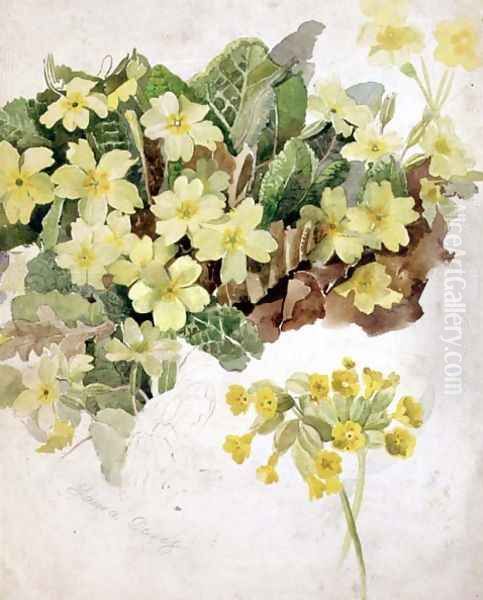 Study of Primroses and Cowslips Oil Painting by Laura Darcy Strutt