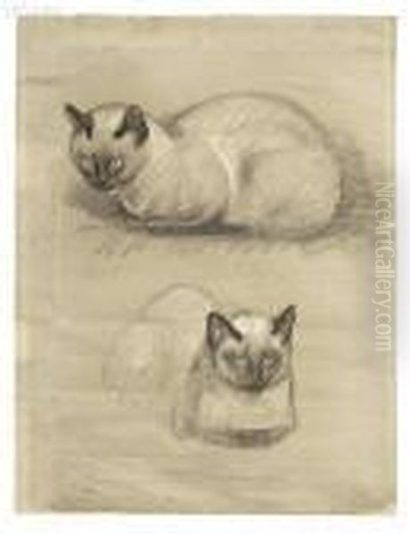 Study Of A Cat Oil Painting by Theophile Alexandre Steinlen