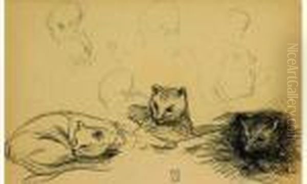 Etude De Chats Et De Tetes D'enfant Oil Painting by Theophile Alexandre Steinlen