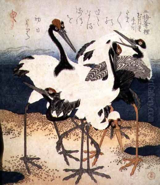 Five Cranes with White Feathers in Various Poses on a Spit of Sand, from Three Petals series, c.1816 Oil Painting by Kubo Shumman