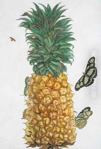 Pineapple with caterpillar and butterflies Oil Painting by Pieter Sluiter or Sluyter