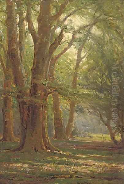 A sunlit forest Oil Painting by Frederik Golden Short