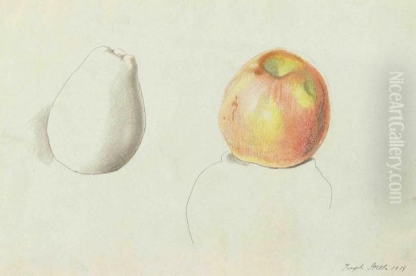 Apple And Pear Oil Painting by Joseph Stella