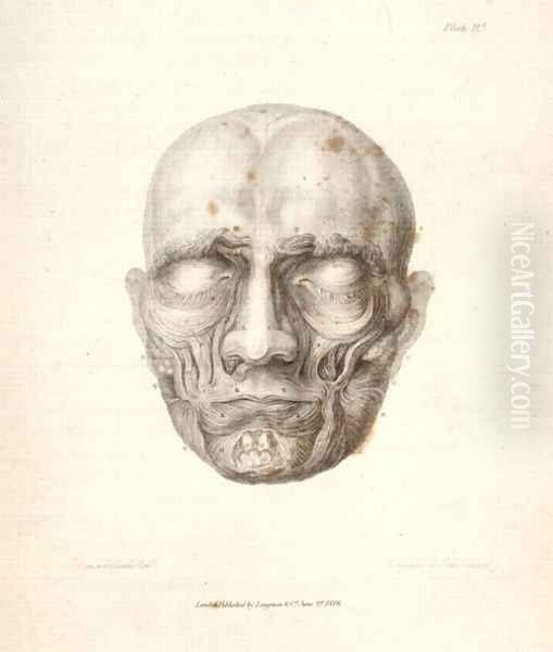 The Muscles of the face, from Charles Bells 1774-1842 Essays on the Anatomy of Expression in Painting, 1806 Oil Painting by John Stewart