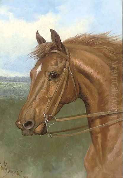 A lady's hack Oil Painting by John Sturgess