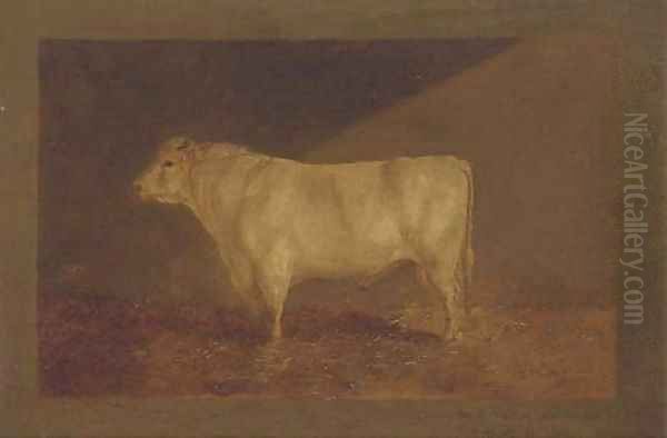 A prize bull Oil Painting by John Sturgess