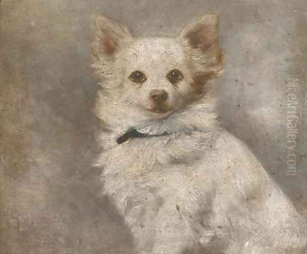 A chihuahua Oil Painting by French School