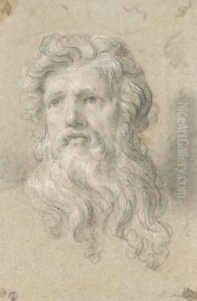 Head of a bearded man Oil Painting by French School