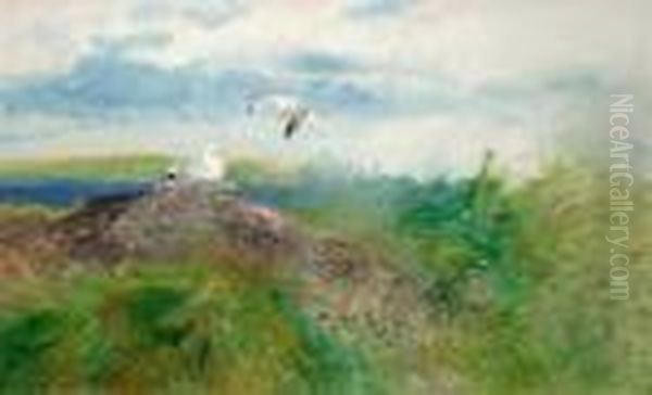 Gulls Oil Painting by Mosse Stoopendaal