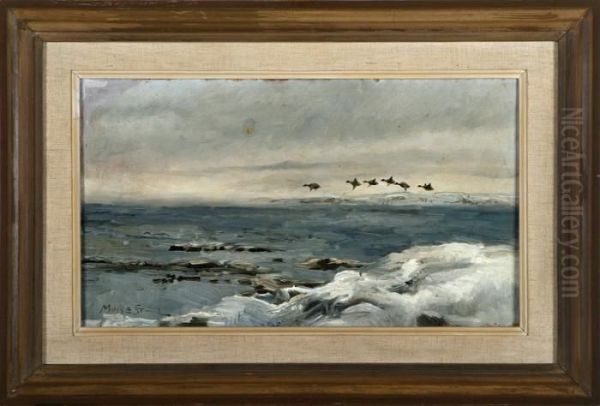 Flying Sea Birds At A Winter Coast. Signed Oil Painting by Mosse Stoopendaal