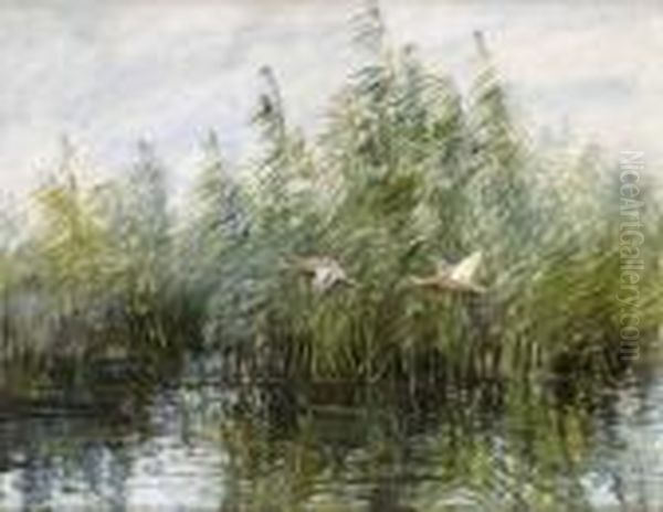 Flygande Ander Oil Painting by Mosse Stoopendaal