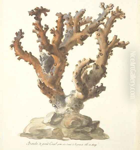 A large branch of coral Oil Painting by French School