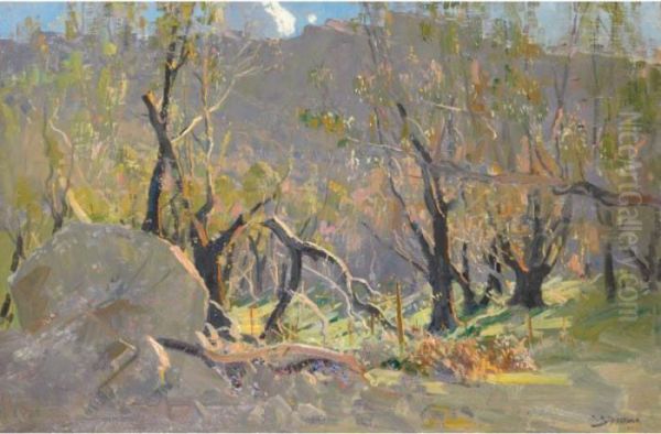 Grampians Landscape Oil Painting by Arthur Ernest Streeton