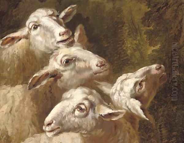 Studies of sheep Oil Painting by French School