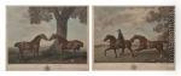 Two Hunters/two Hacks Oil Painting by George Stubbs