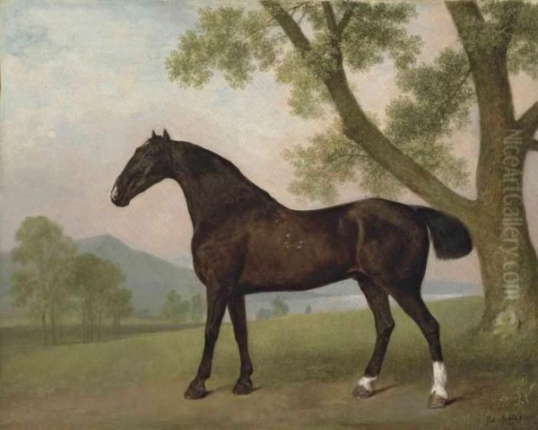 A Dark Bay Hunter Beside A Tree In An Extensive Landscape by George Stubbs