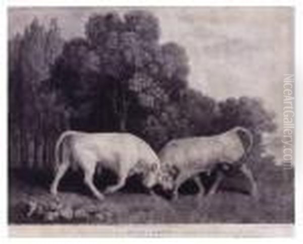 Bulls Fighting Oil Painting by George Stubbs