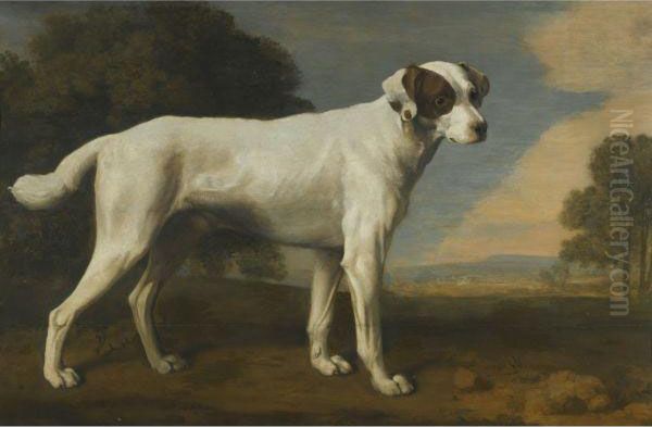 Viscount Gormanston's White Dog Oil Painting by George Stubbs