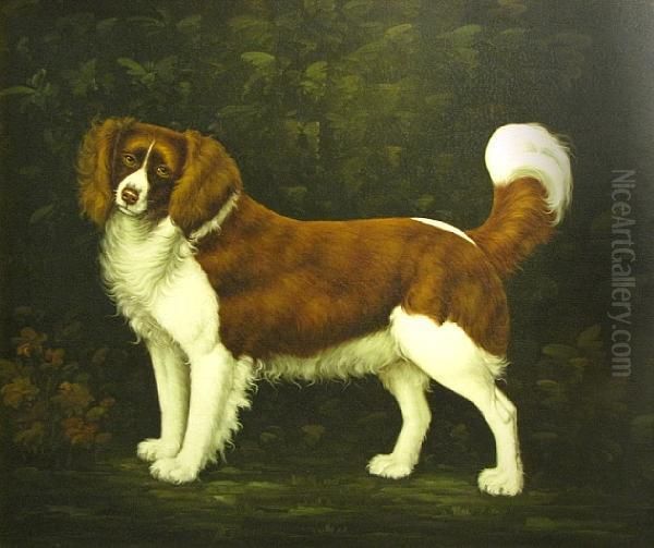 Spaniel In A Landscape Oil Painting by George Stubbs