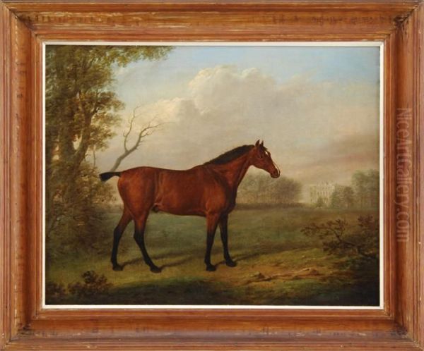 Portrait Of A Brown Horse Oil Painting by George Stubbs