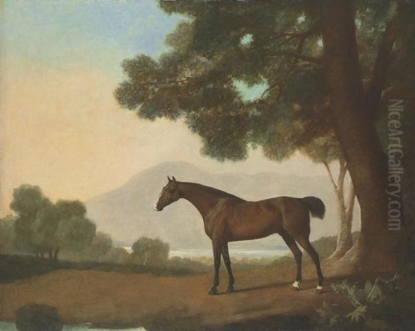 Lord Clermont's Bay Racehorse Johnny Oil Painting by George Stubbs