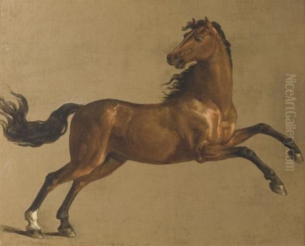 Un Etalon Bai Oil Painting by George Stubbs