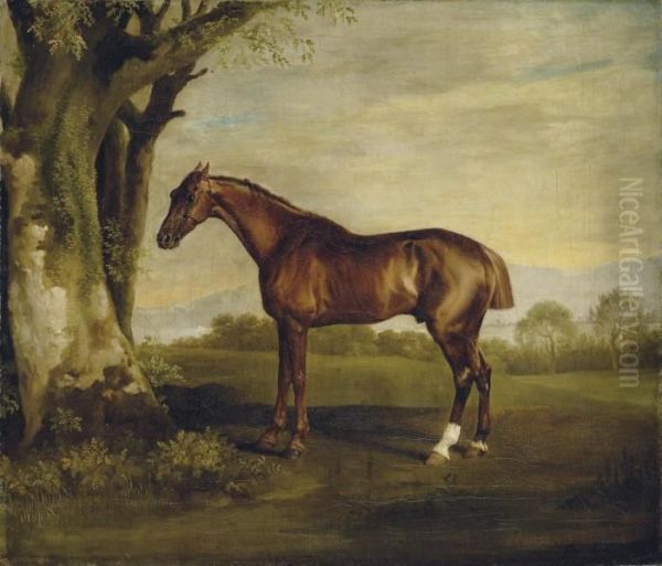 Antinous, A Chestnut Racehorse, In A Landscape Oil Painting by George Stubbs