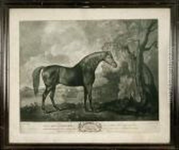 Brown Horse Mask Oil Painting by George Stubbs