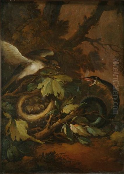 A Bird Defending Her Nest Against A Snake Oil Painting by George Stubbs