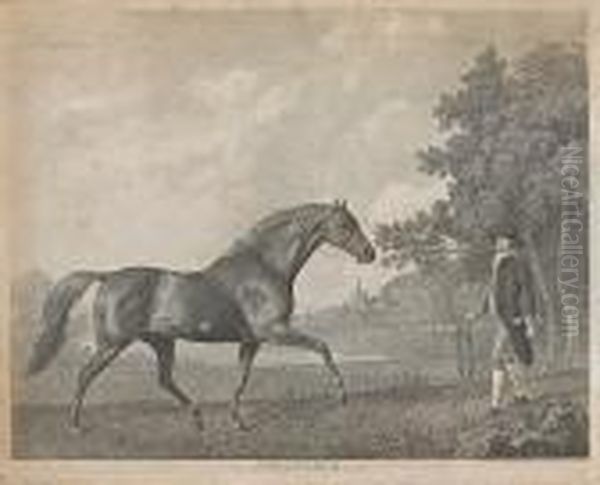 Volunteer Oil Painting by George Stubbs